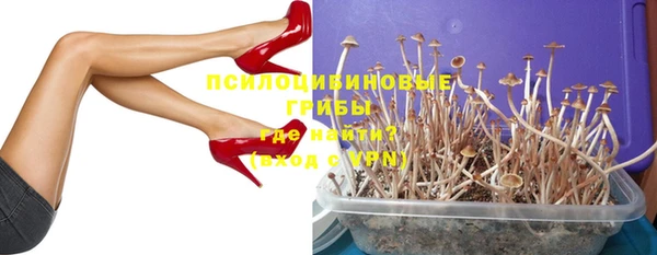 Альфа ПВП Алексин