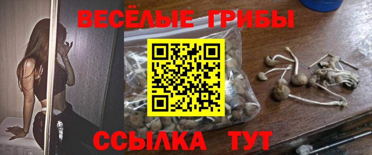 Гусь-Хрустальный  Галлюциногенные грибы Cubensis  купить  цена  Вход с VPN 